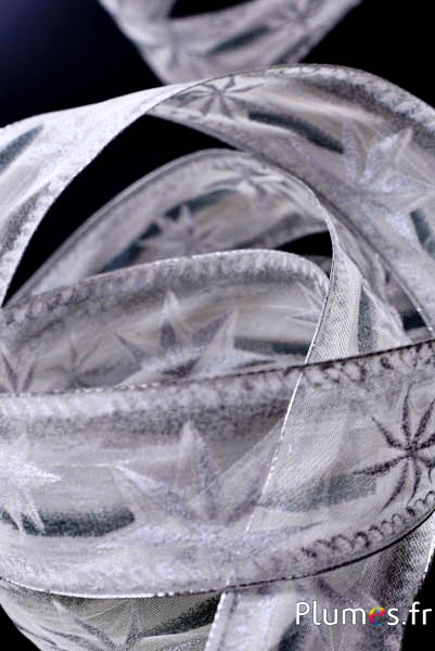 Ruban organza étoiles - largeur 40 mm - blanc-argenté  